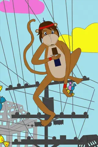 关于巧克力混乱的猴子故事