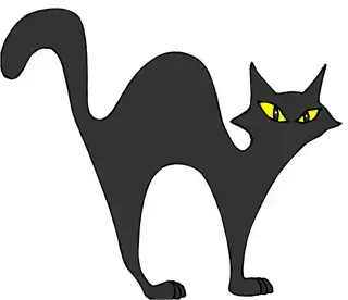 黑猫弓背