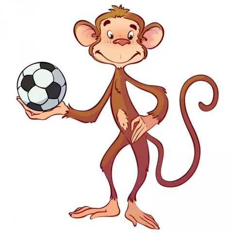 Theo Monkey Footbal.