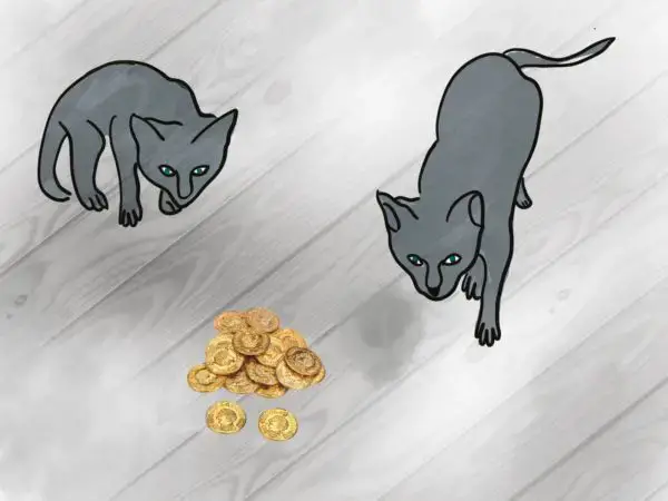 两只猫追金