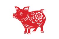 中国猪的年